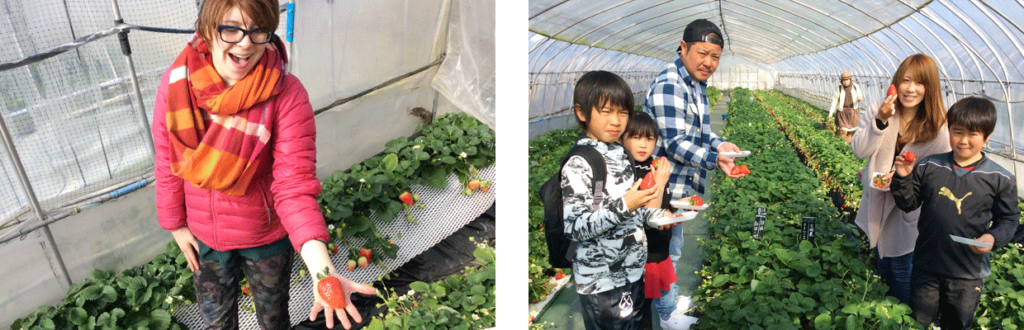 Strawberry Heaven - Yoshimura Strawberry Park