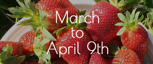 Fees for Yoshimura Strawberry Park (in Mashikko, Tochigi) From March to April